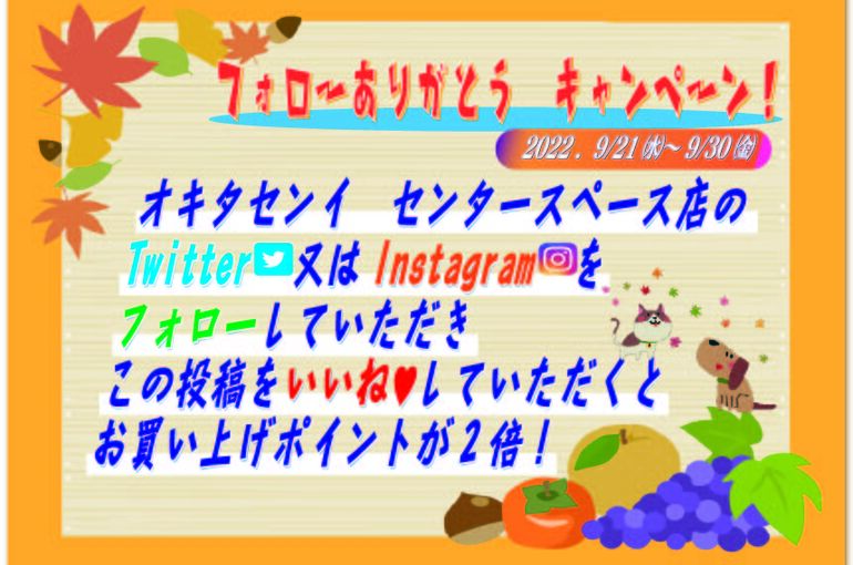 ツイッターインスタキャンペーン　秋(改)_アートボード 1